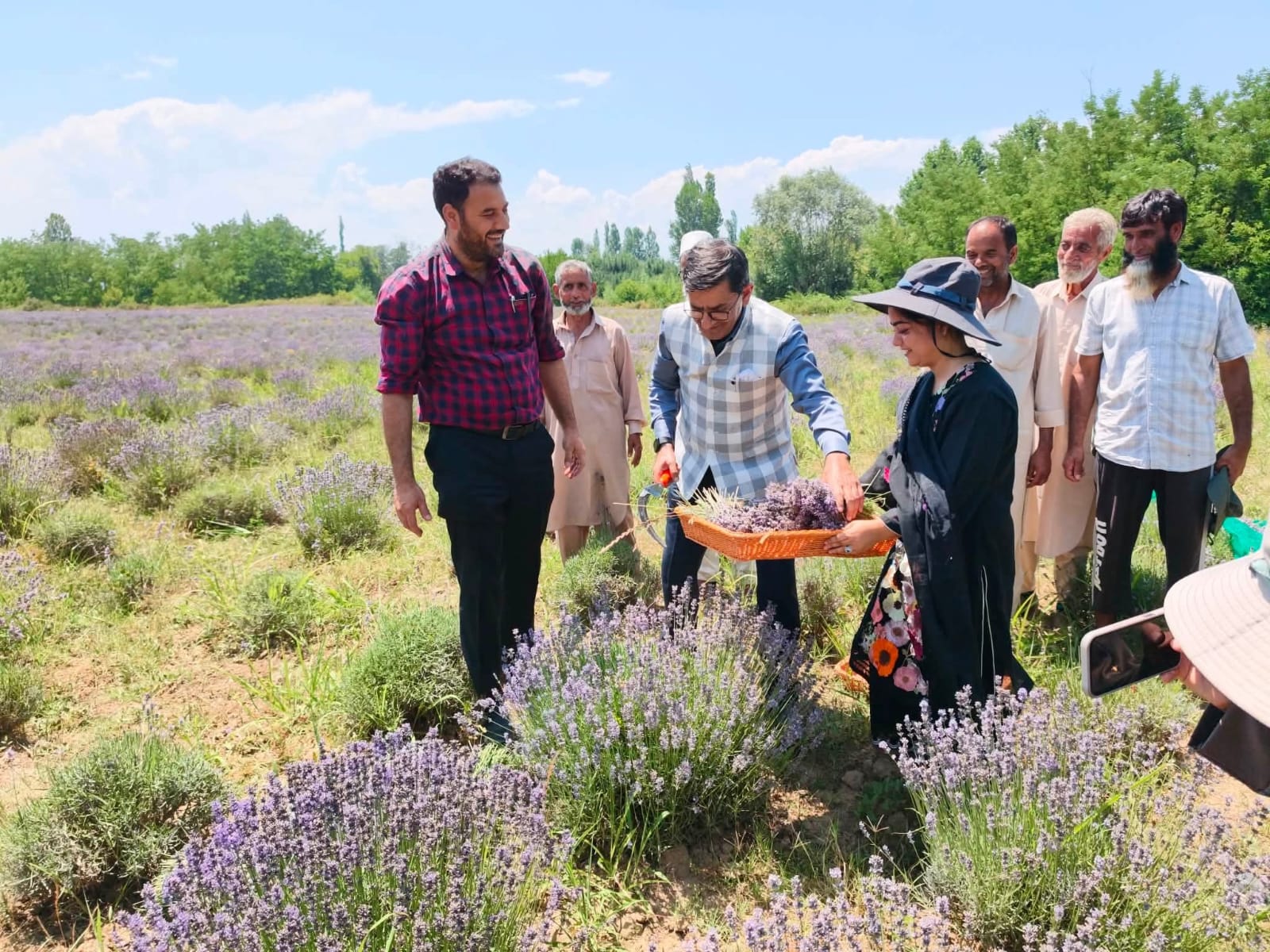 Lavender Harvest Begins at Bonera Field Station in Pulwama Showcasing Success of CSIR Aroma Mission
