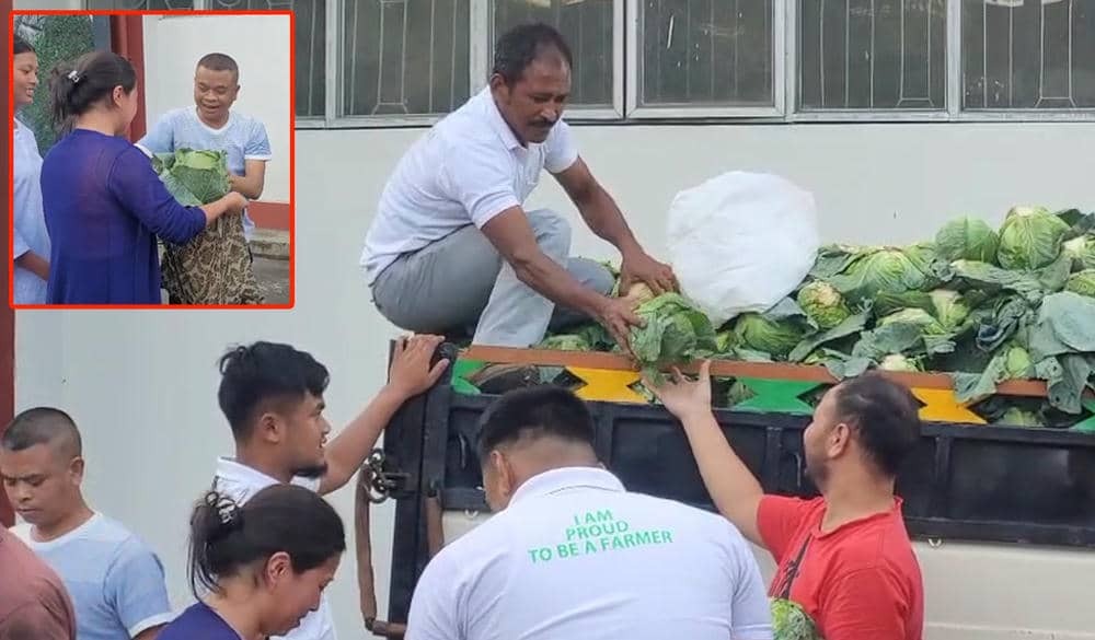 Better to Feed People Than Sell at ₹2/kg : Meghalaya Cabbage Farmers Give Away Harvest in Protest