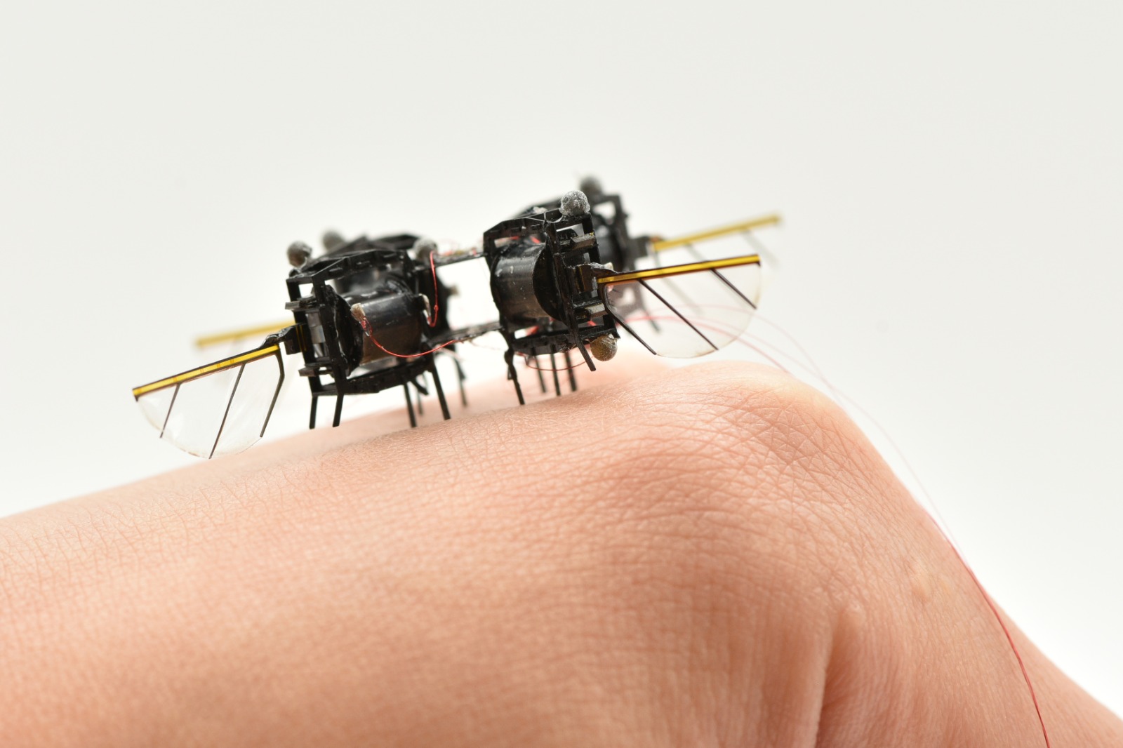 World’s Smallest Flying Robot Could Save Lives in Disaster Zones