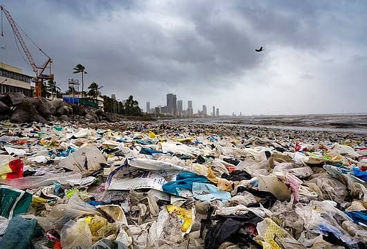 Arabian Sea Returns 2,500 Metric Tonnes of Garbage to Mumbai Shores During Monsoon