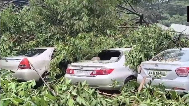 Mumbai Braces for More Rain; 142 Trees Uprooted, 2 Killed