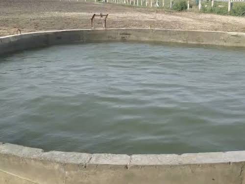 WATCH | Water mysteriously moving in a well in Veerparda village of Morbi, atmosphere of great curiosity among people