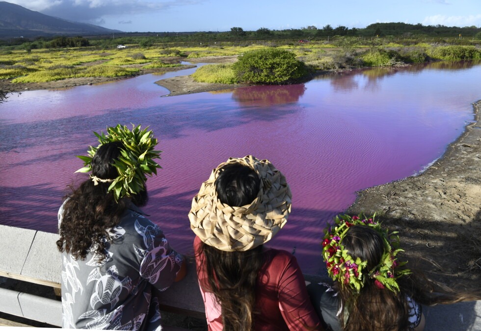 Looks Like a Barbie Dream, But Don’t Touch ! Hawaii’s Mysterious Pink Pond Explained