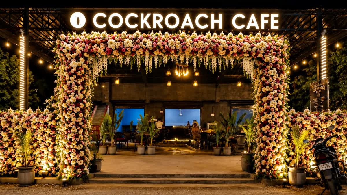 Cockroach Cafe : From Strange Name to Viral Fame