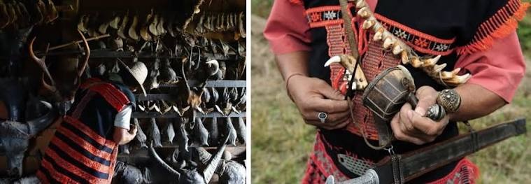 “The Tiger Is Our Brother !” Meet the Mishmi Community’s Extraordinary Bond With the Wild