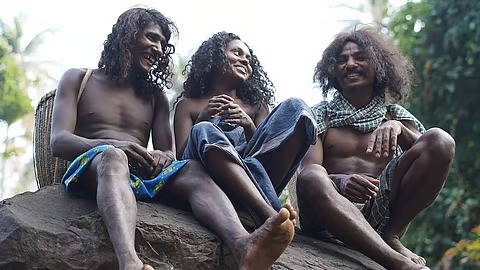 A World Hidden in the Woods : The Cholanaikkans of Kerala