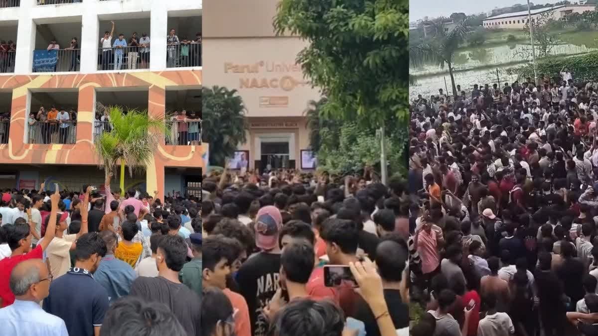 Allegation of cockroaches found in hostel food at Parul University, thousands of students uproar