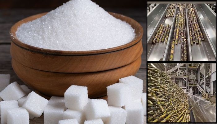 Yogi Government Cracks Down on Sugar Black-Marketing in UP; Action to Follow if Stock Exceeds 400 Tonnes