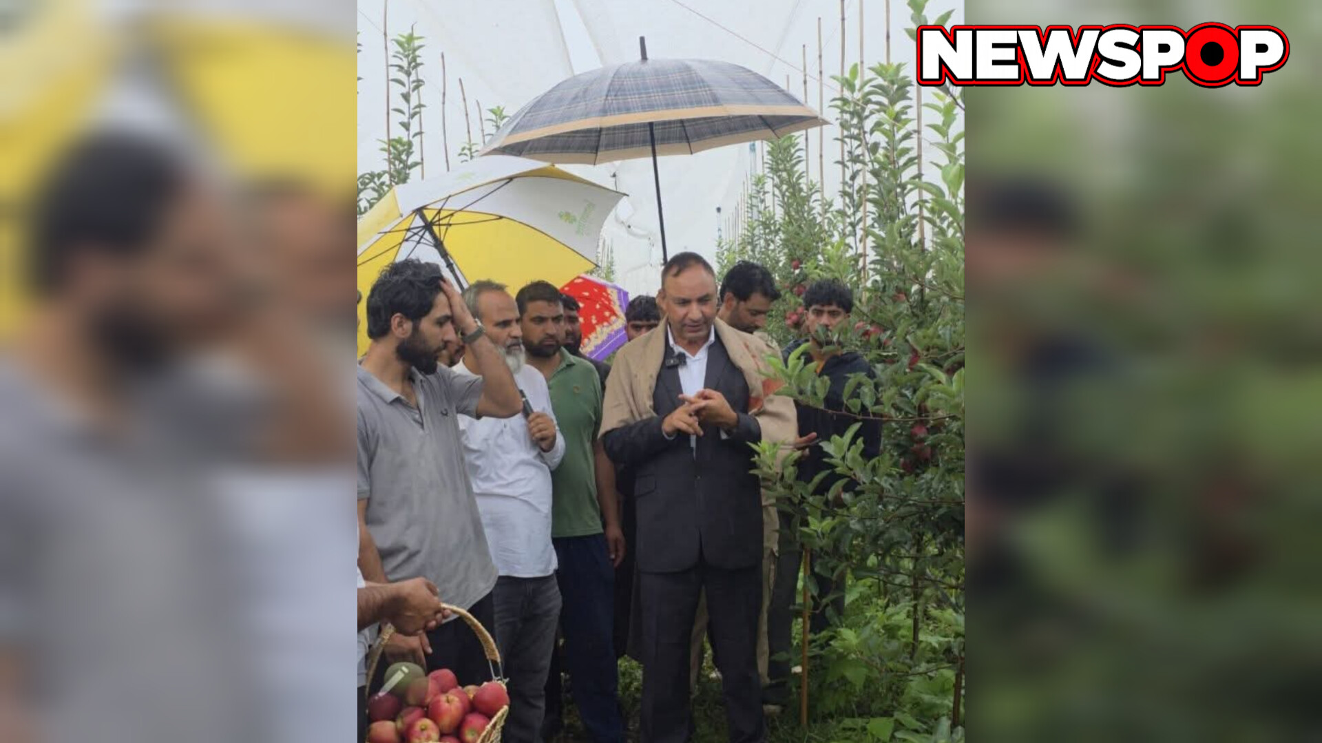 SKUAST-K Showcases Cluster Apple Orchard Model Developed under HADP-18 at Junglenad, Pulwama