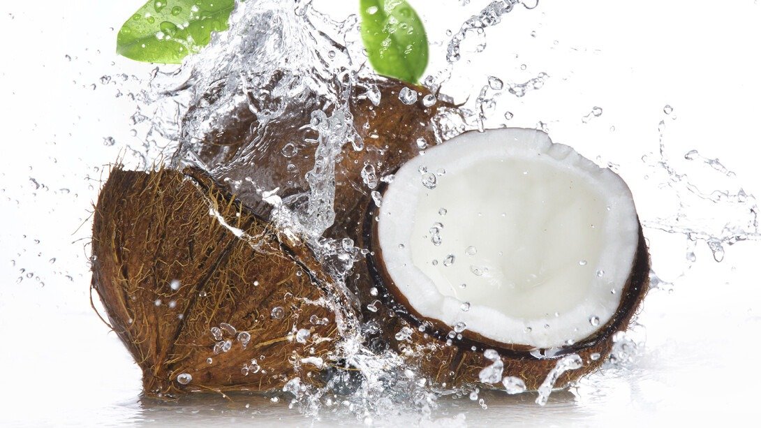 Who Fills Water Inside a Coconut ? The Shocking Science Behind Nature’s ‘Sealed Water Bottle’ !