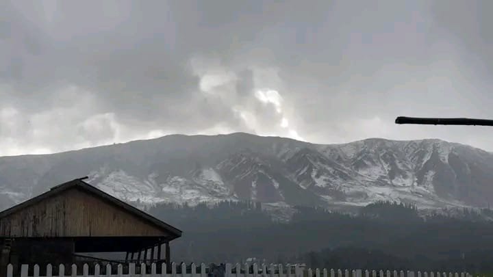 Jammu Kashmir | Fresh Snowfall Covers Apharwat Peak in Gulmarg