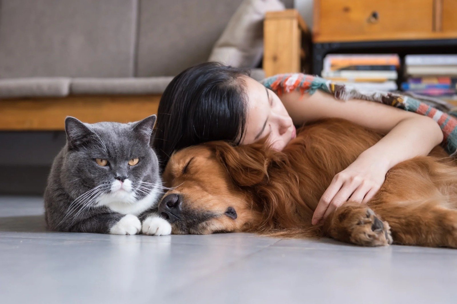 Pet Owners Beware: Chennai Tightens Rules : ₹25,000 Fine for Abandoning Dogs & Cats